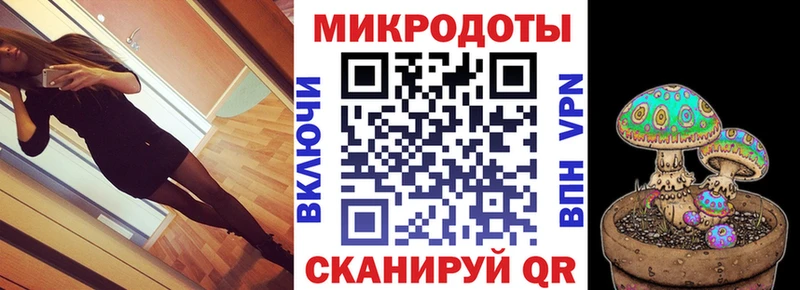 Галлюциногенные грибы Psilocybe  наркошоп  Гороховец 