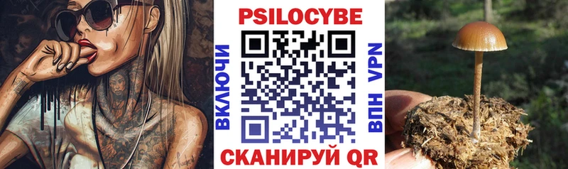 Галлюциногенные грибы Psilocybine cubensis Гороховец